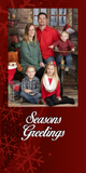 Holiday Cards - Seasons Greetings