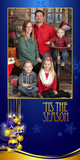 Holiday Cards - Tis the Season
